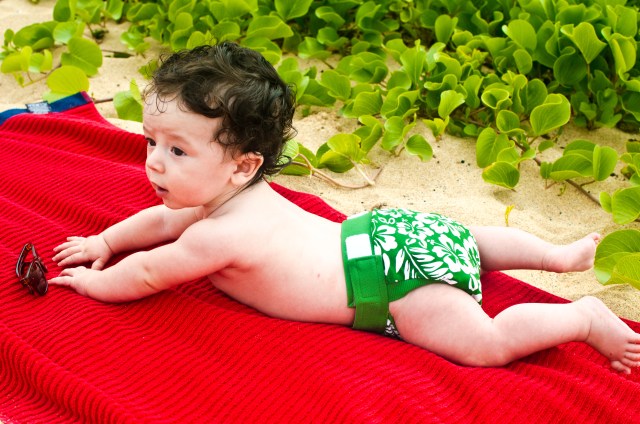 gdiapers aloha