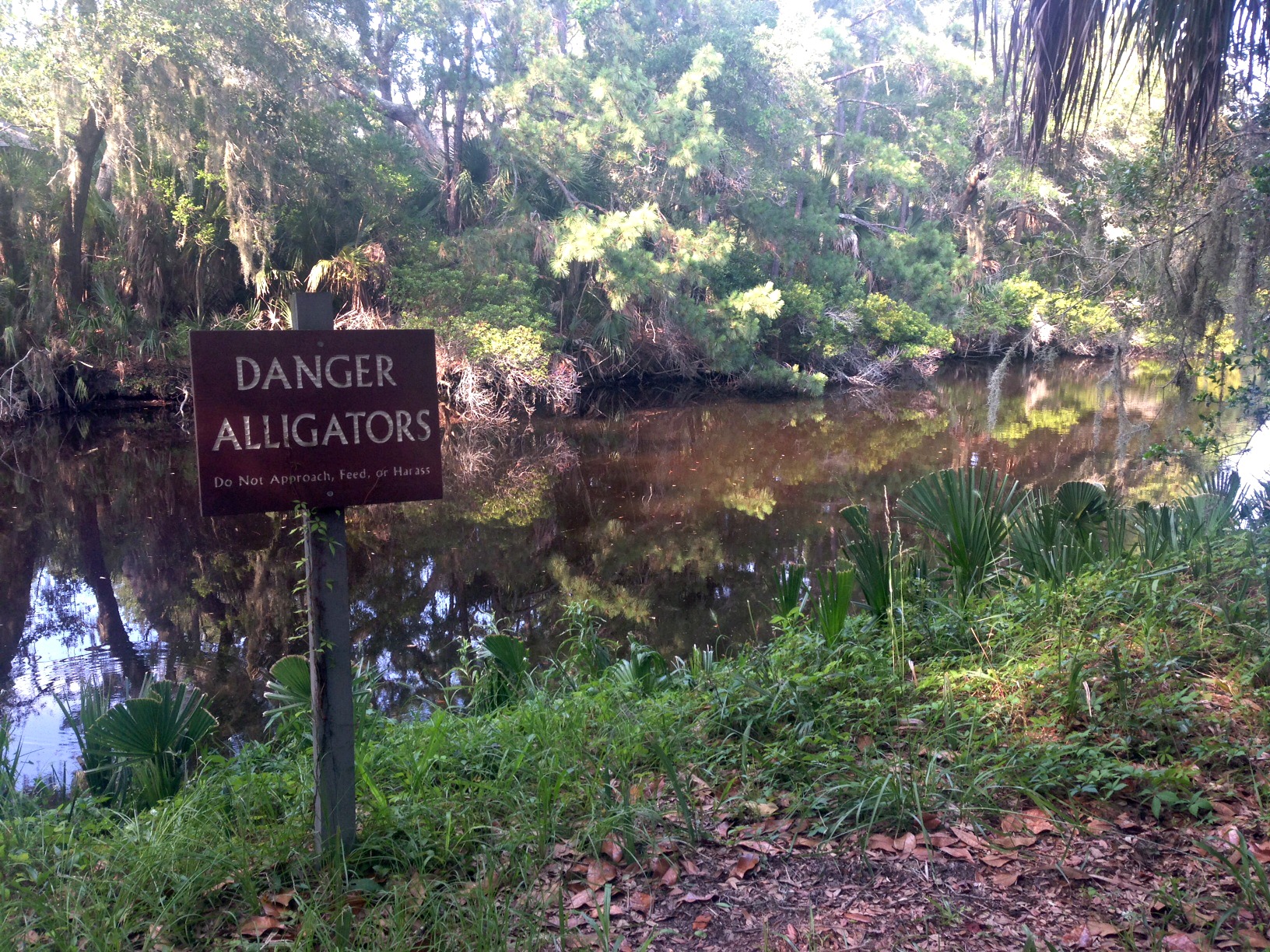 kiawah island