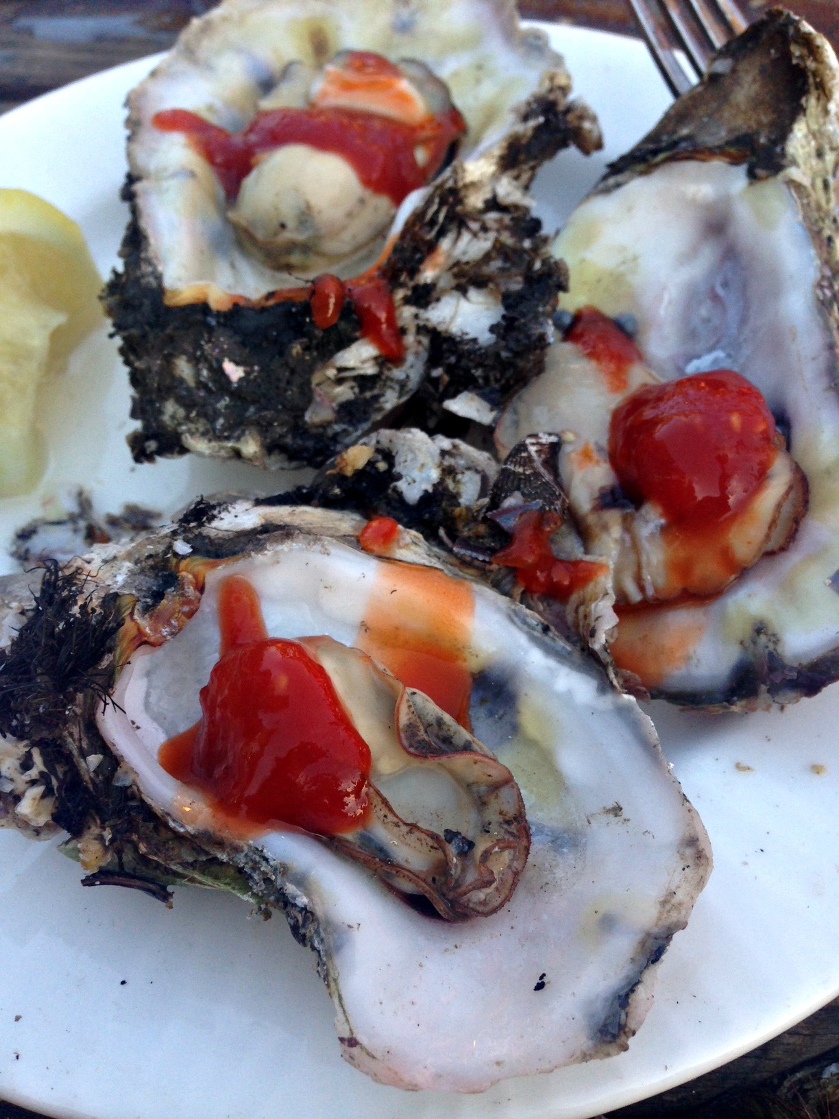 oyster bake